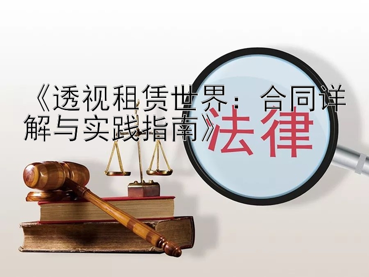 《透视租赁世界：合同详解与实践指南》