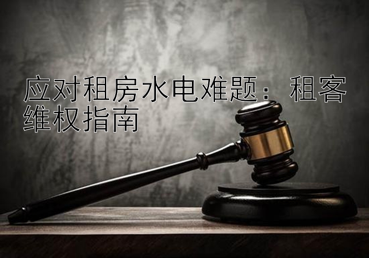 应对租房水电难题：租客维权指南